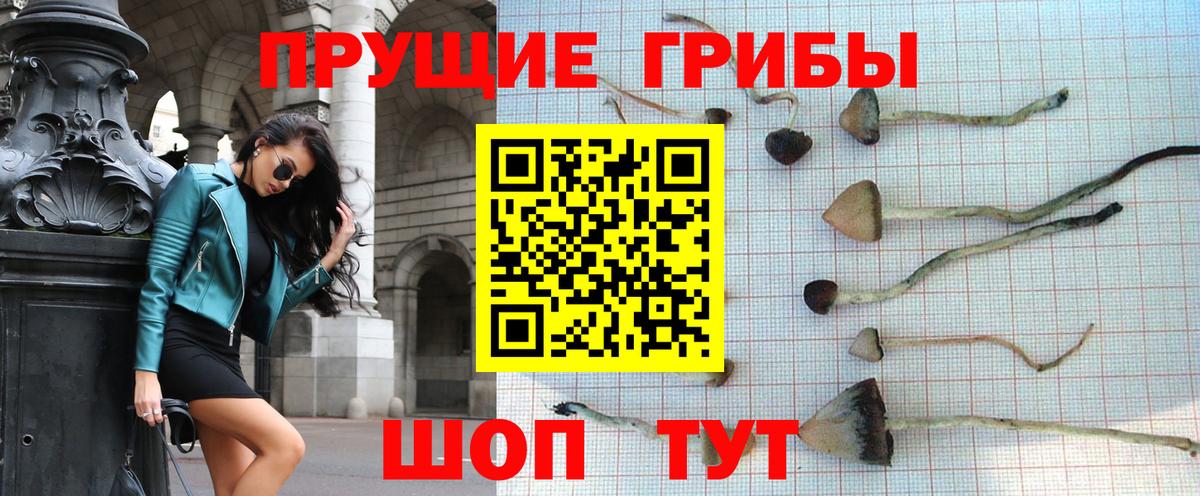 Галлюциногенные грибы Psilocybe  Вход с VPN  Псилоцибиновые грибы ЛСД  Мелеуз 