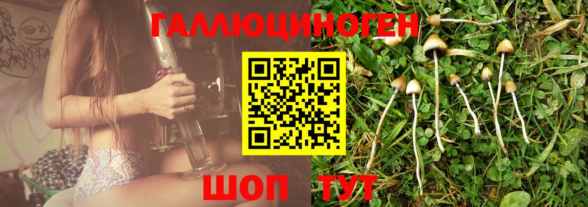 Галлюциногенные грибы MAGIC MUSHROOMS Мелеуз